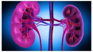 Tai-chi movements to strengthen the kidney, liver, heart and spleen and they are so simple