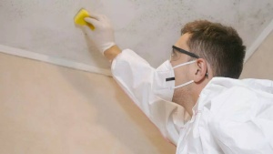 6 ways to get rid of black mould from your walls and prevent it from returning