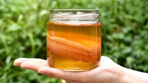 5 fermented drinks that improve gastrointestinal health: Insights from an AIIMS doctor