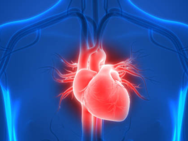 Symbolic image representing a healthy heart