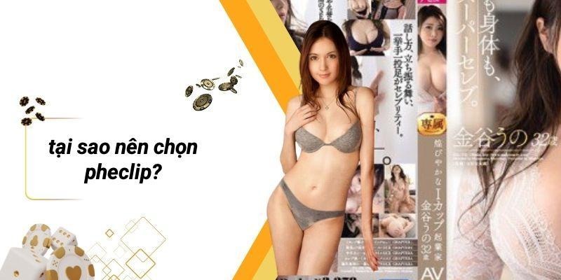 Tại Sao Nên Chọn PHECLIP?